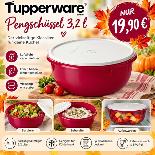 Tupperware peng schüssel 2 - schüssel, 3,2